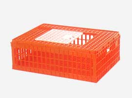 Poultry Equipments
