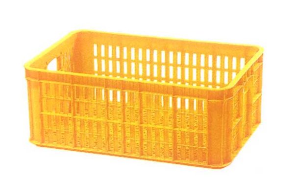 Type 2004
