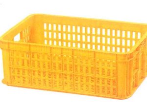 Type 2005