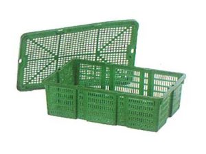 Type 4300
