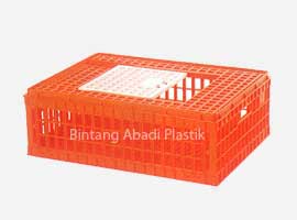 Poultry Equipments