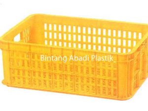 Type 2005